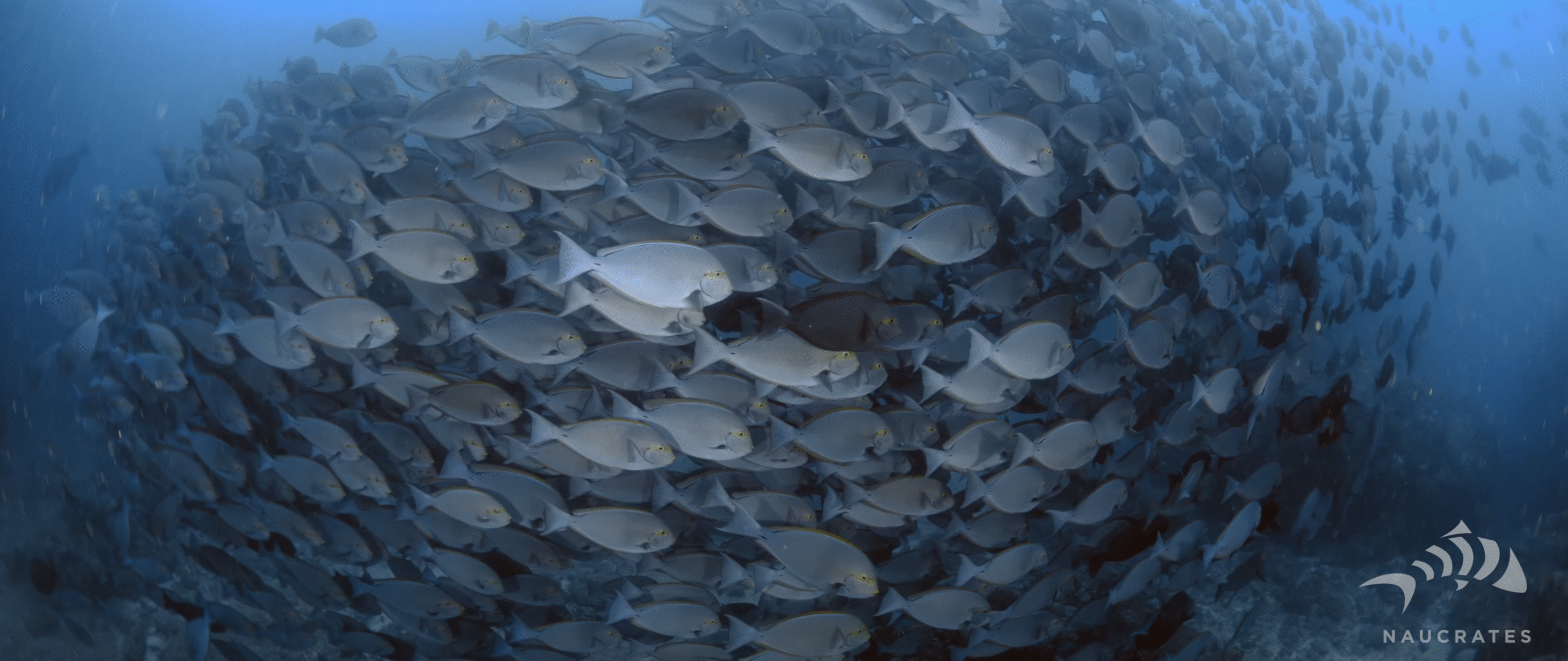 Screenshot 2025-10-15 at 22.21.01