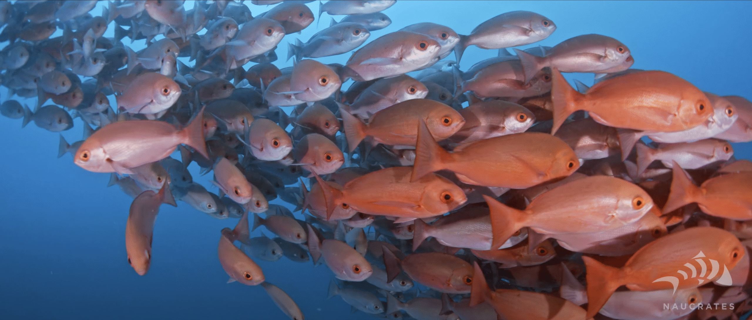 Screenshot 2025-10-15 at 22.21.11