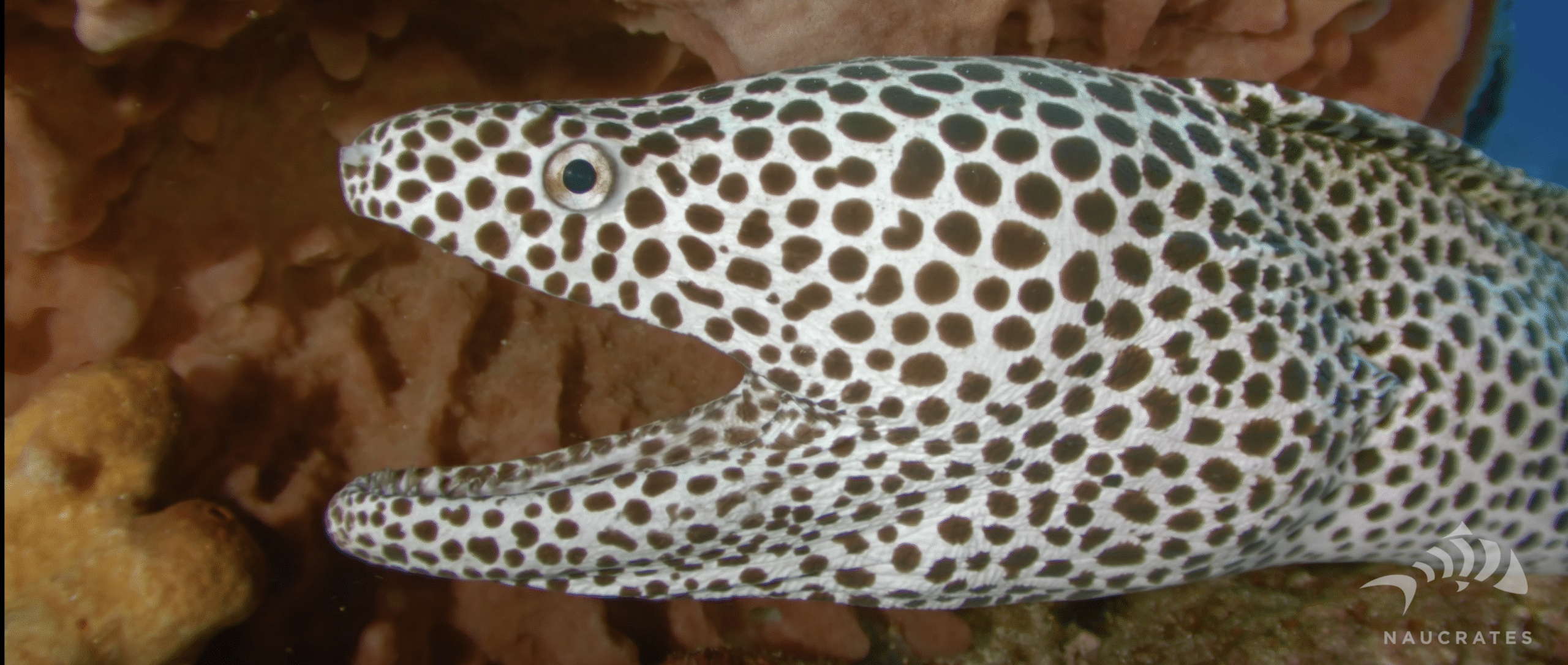 Screenshot 2025-10-15 at 22.21.23