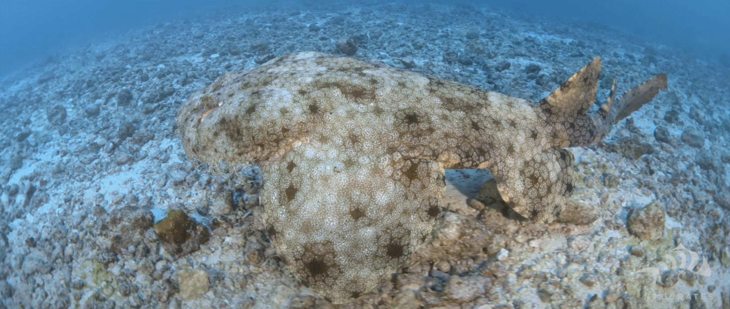 Screenshot 2025-10-15 at 22.21.54