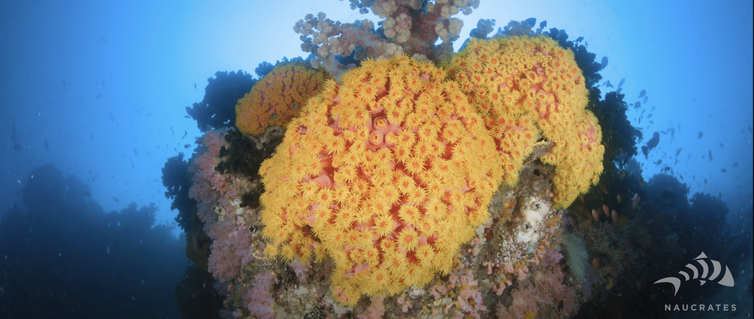 Screenshot 2025-10-15 at 22.22.16