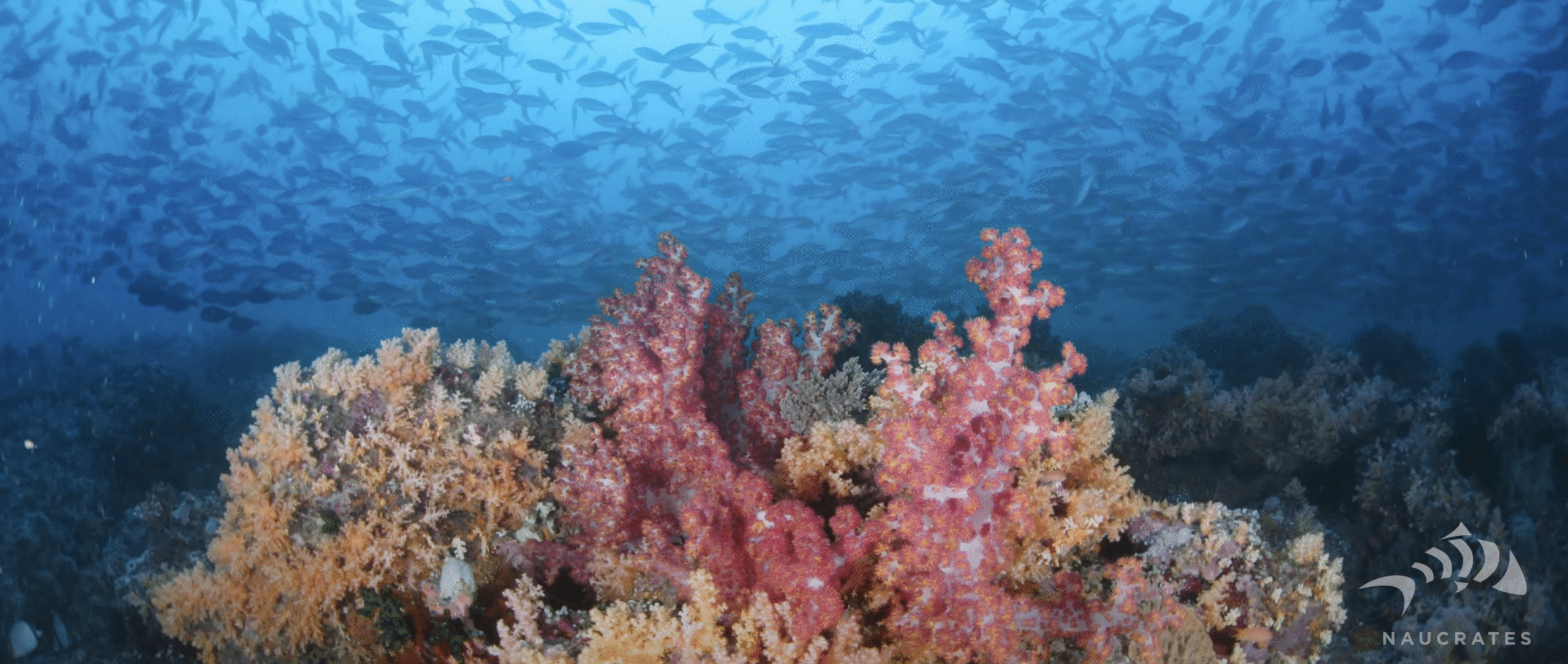 Screenshot 2025-10-15 at 22.23.39