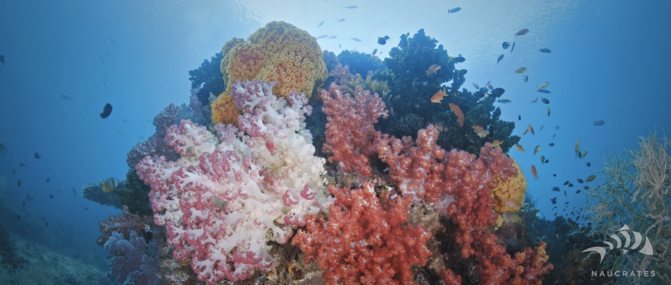 Screenshot 2025-10-15 at 22.23.55