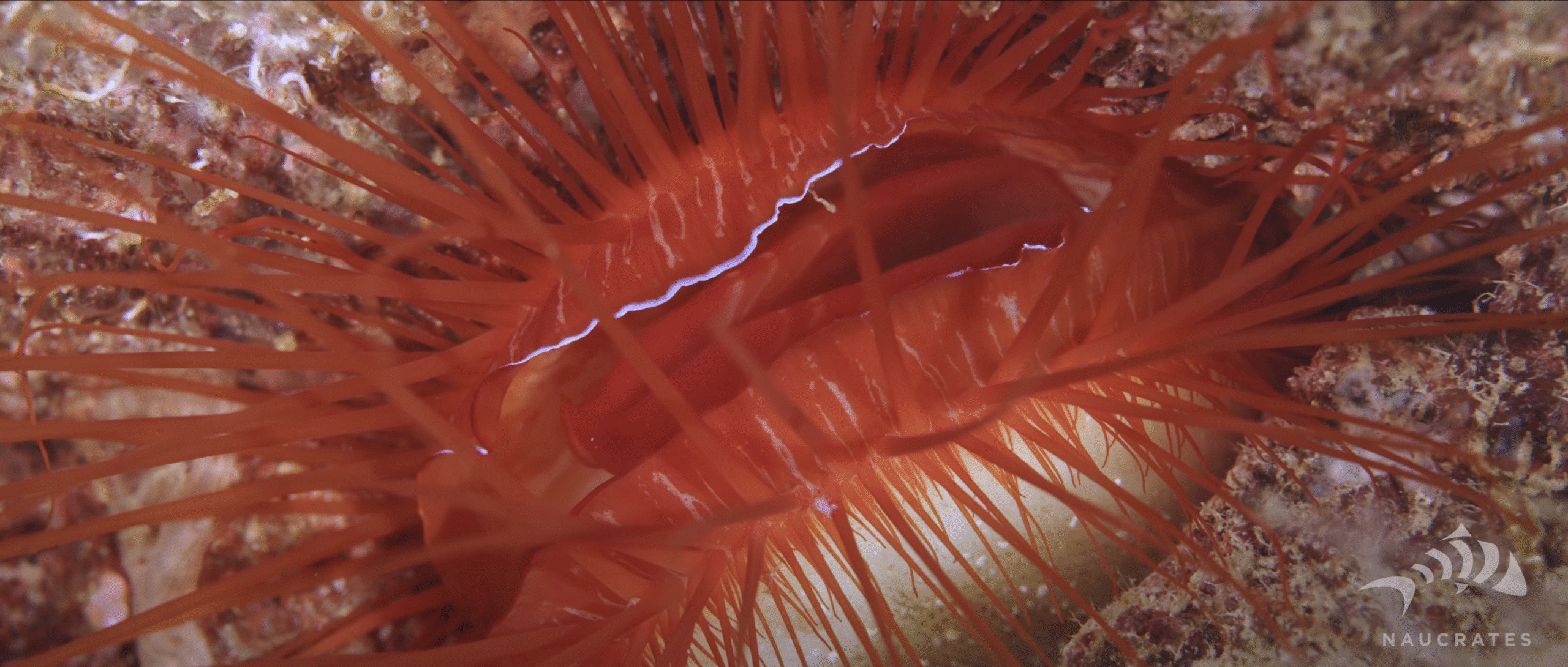 Screenshot 2025-10-15 at 22.24.13