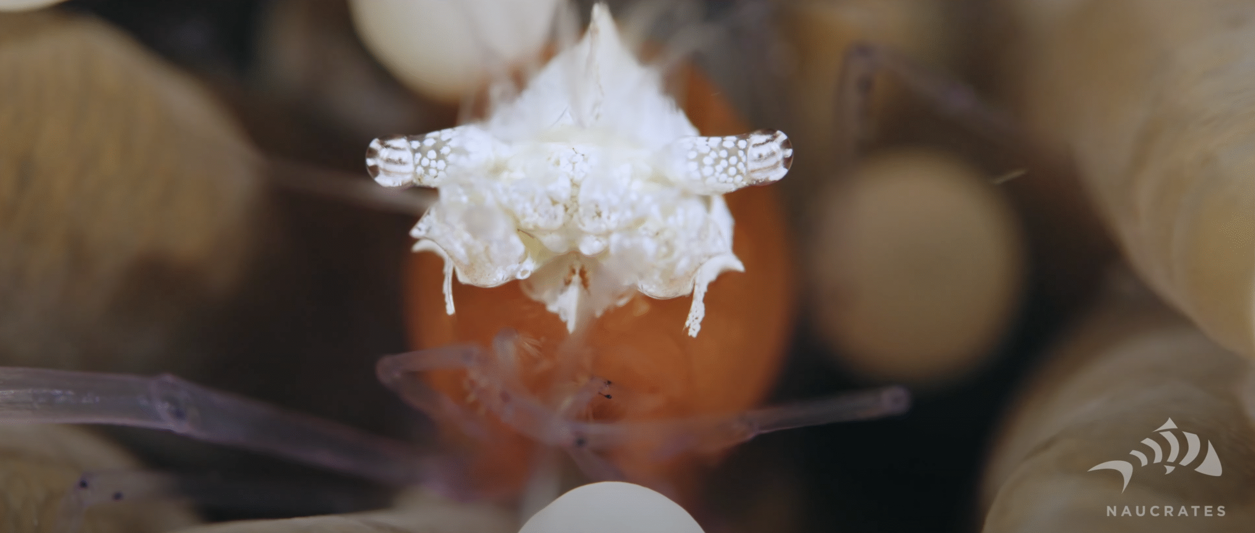 Screenshot 2025-10-15 at 22.24.36