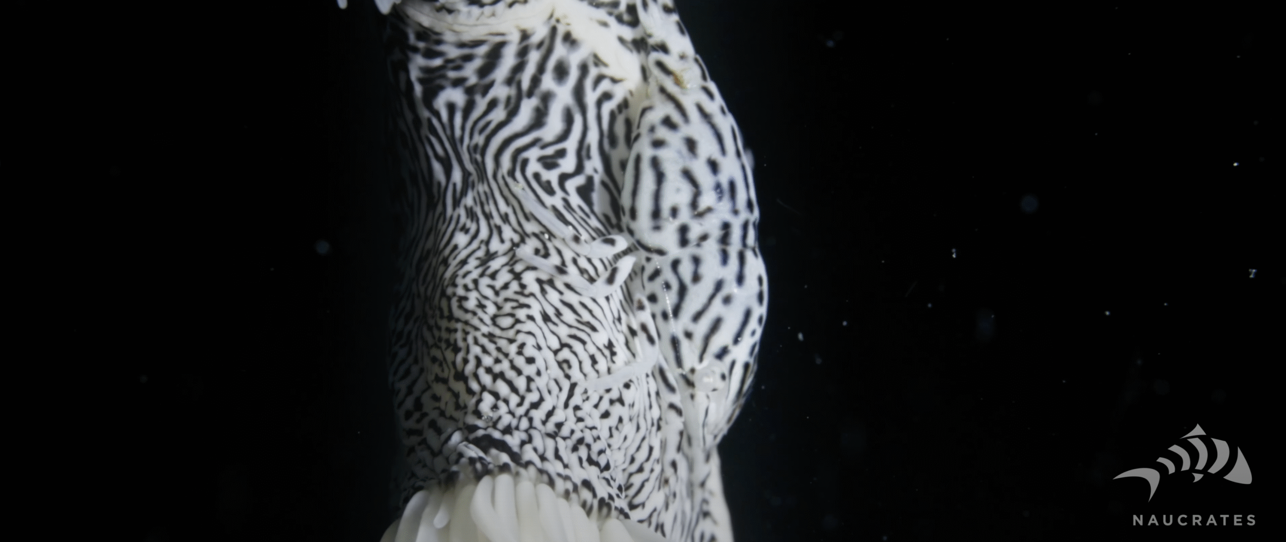 Screenshot 2025-10-15 at 22.24.53