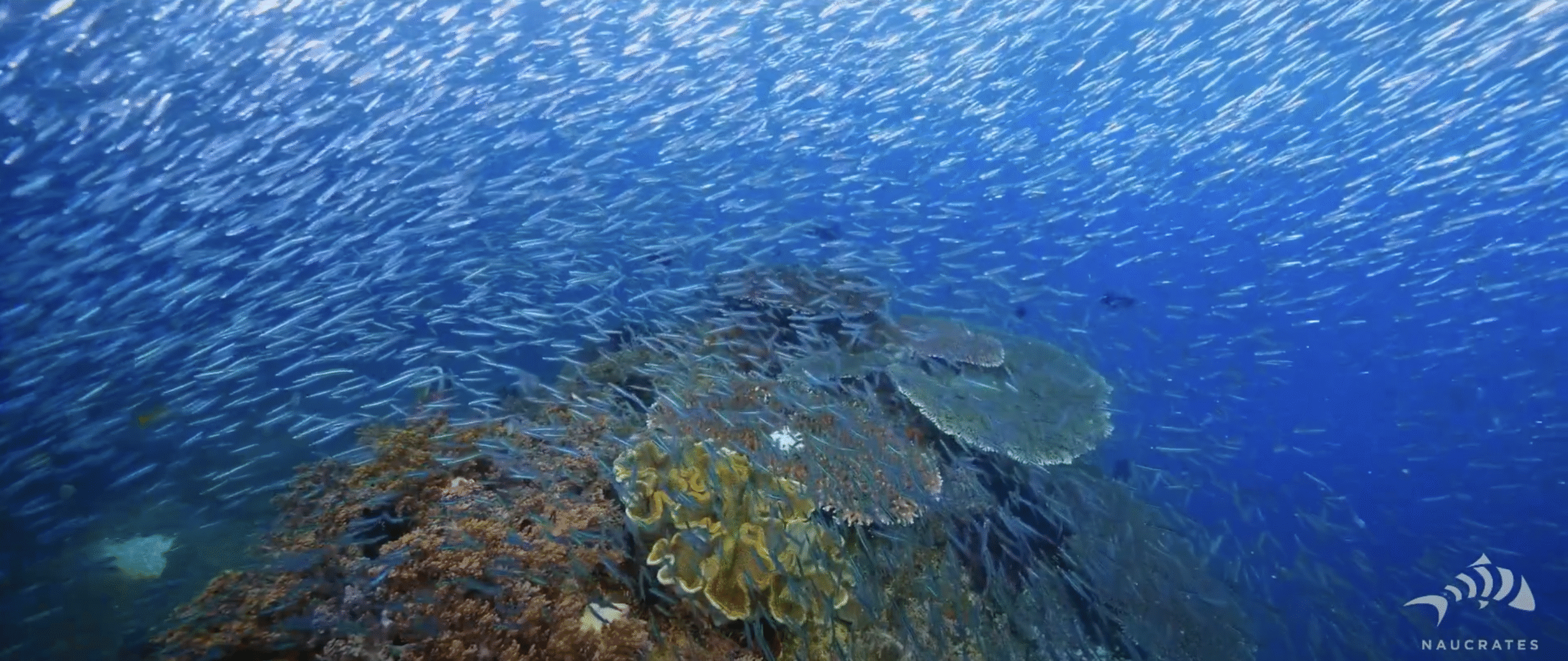 Screenshot 2025-10-15 at 22.29.57