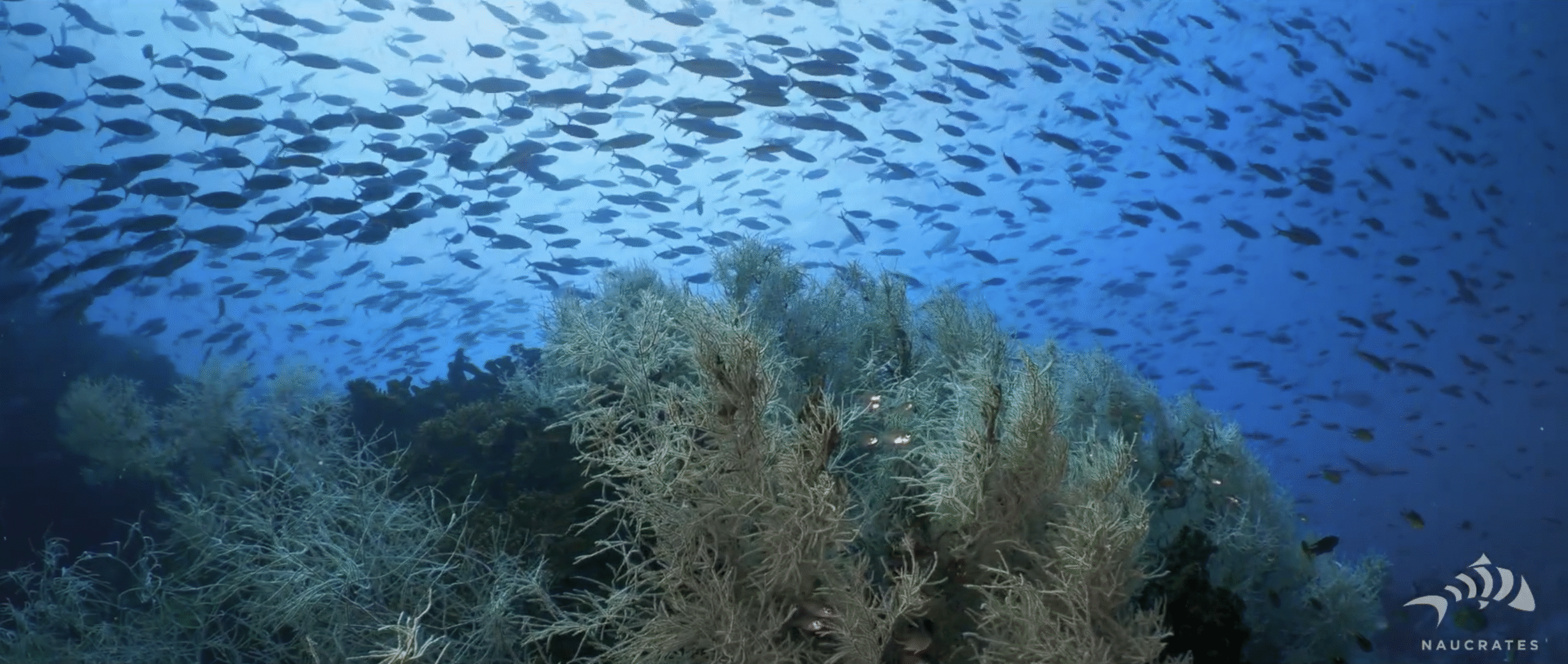 Screenshot 2025-10-15 at 22.30.45