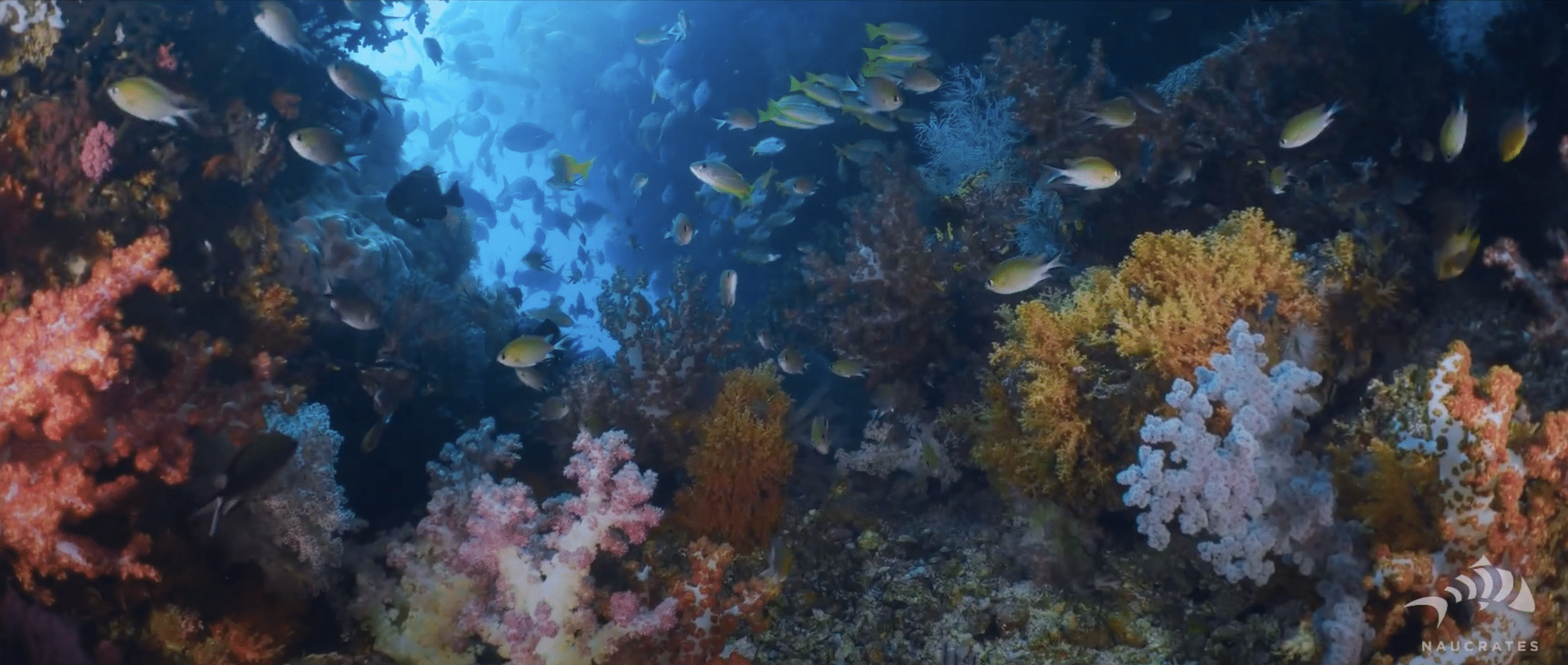 Screenshot 2025-10-15 at 22.31.12