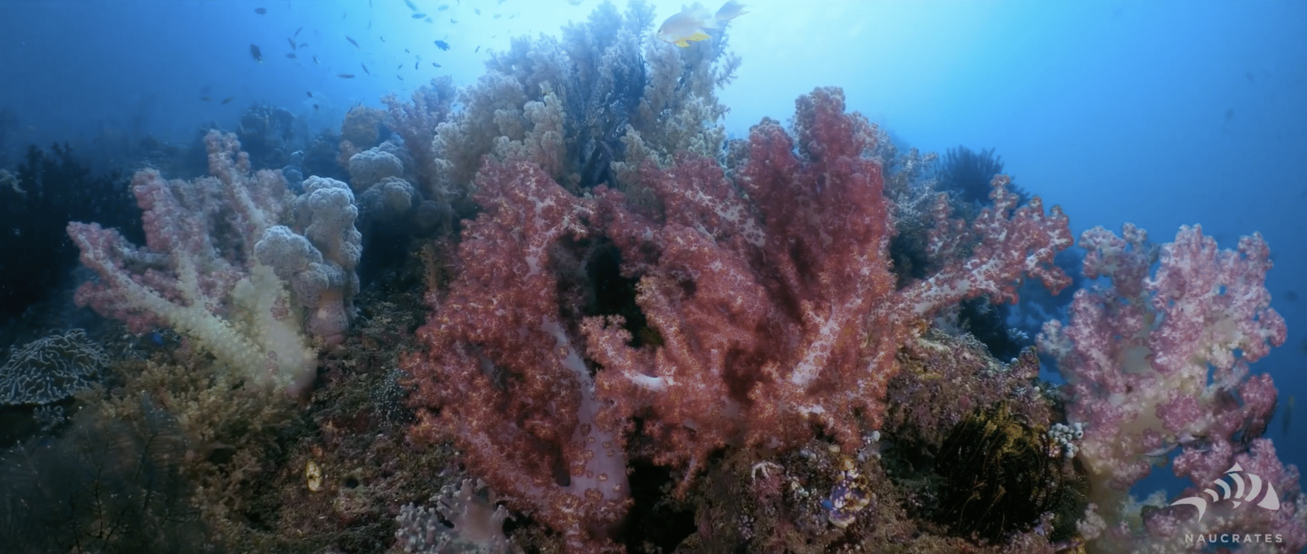 Screenshot 2025-10-15 at 22.31.31