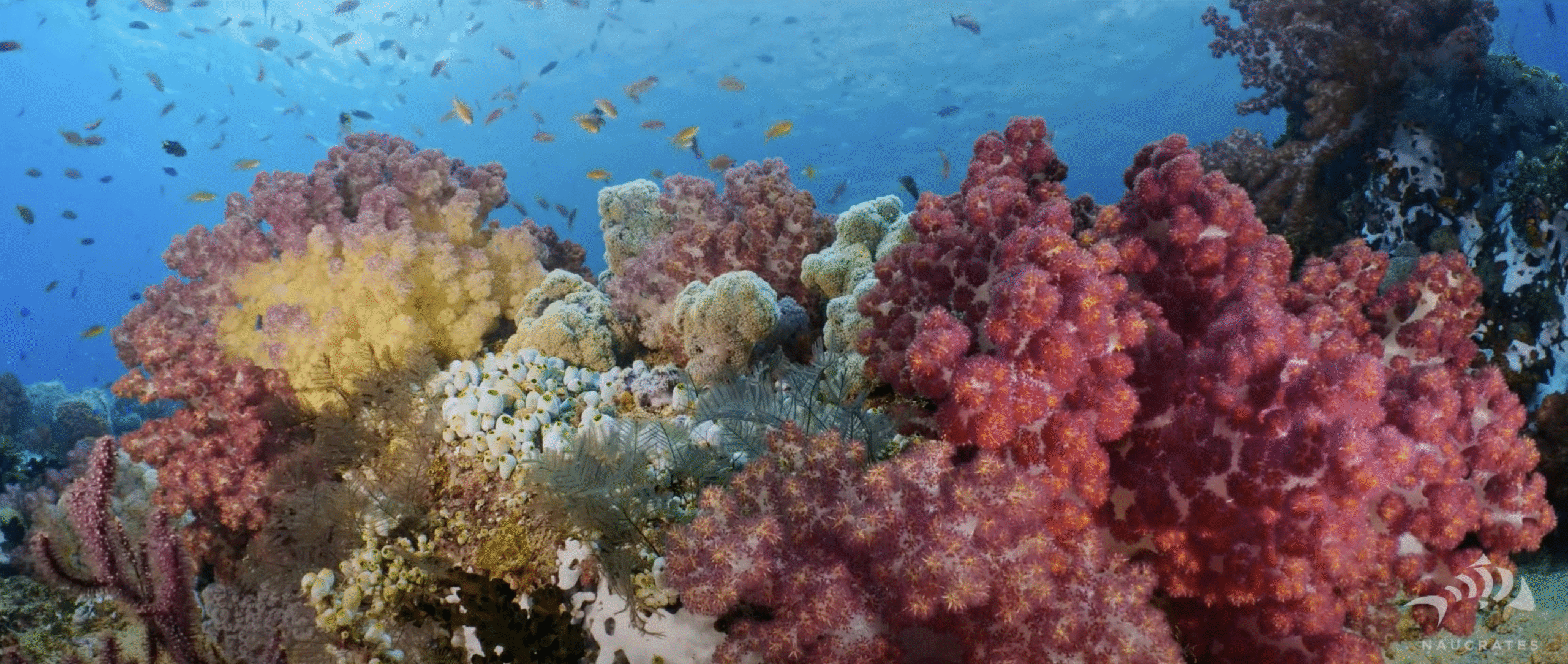 Screenshot 2025-10-15 at 22.31.44