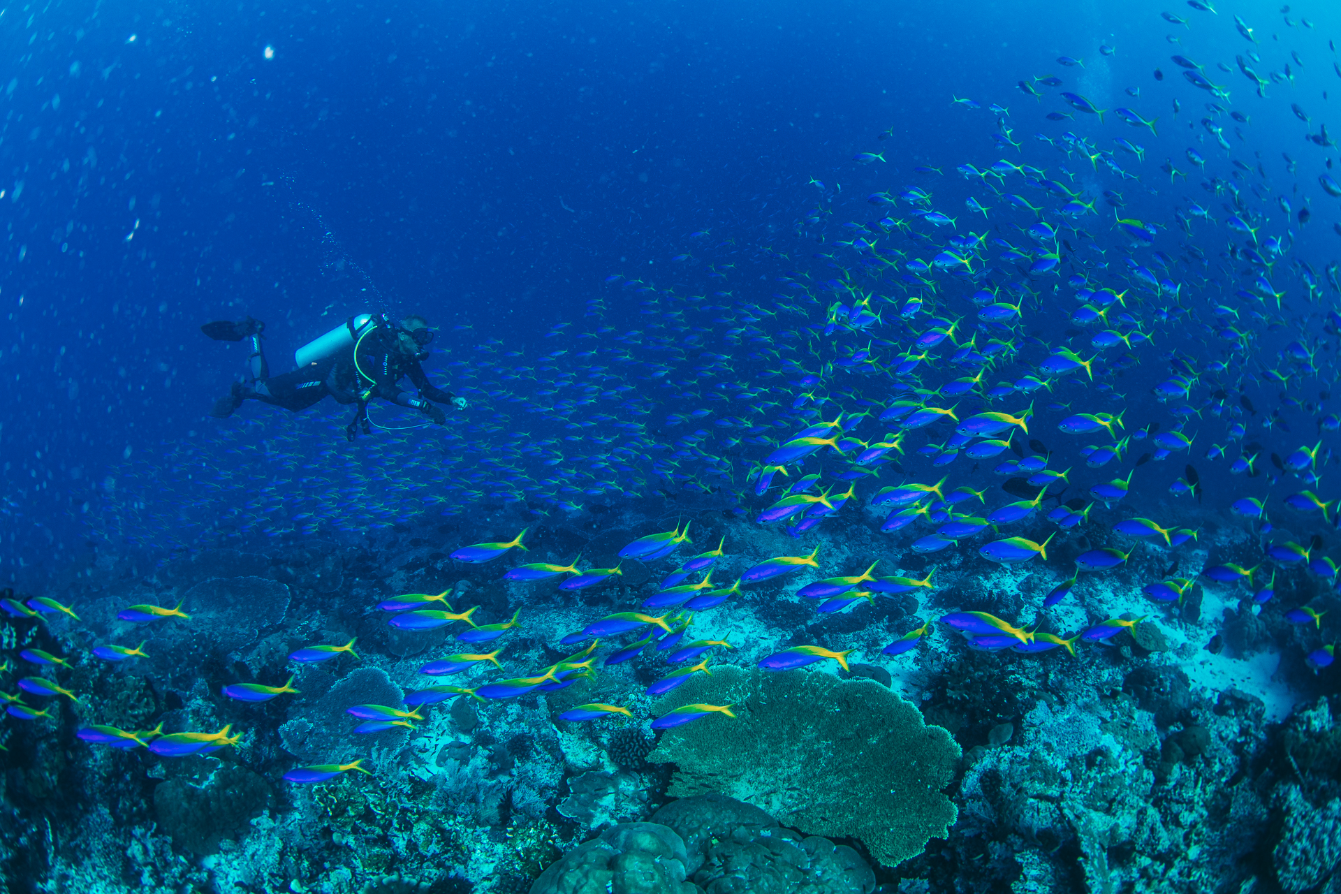 tommy-schultz_com-77