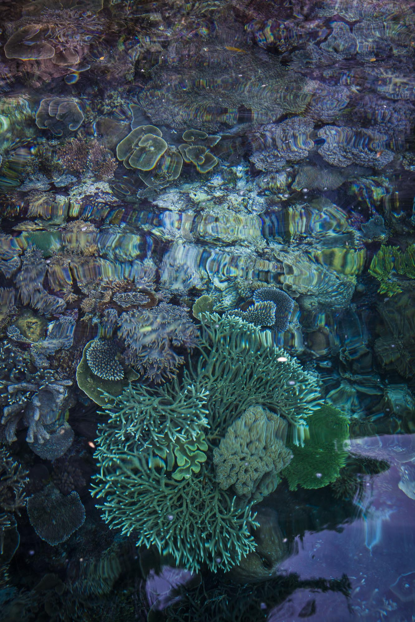 untitled_7819-2