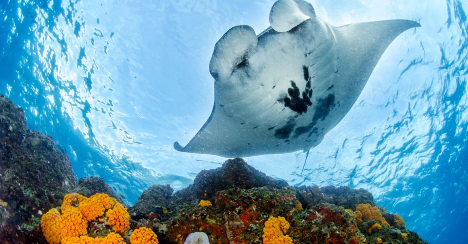 121121-komodo12-3058-Edit-Edit