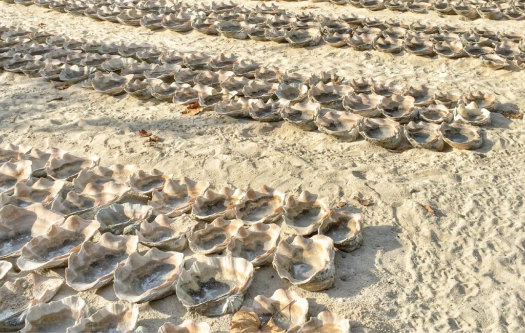 Culturally, most of the Austronesian