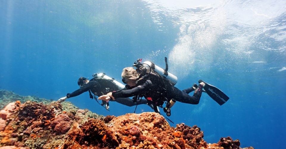 Komodo - May 2019 - 53