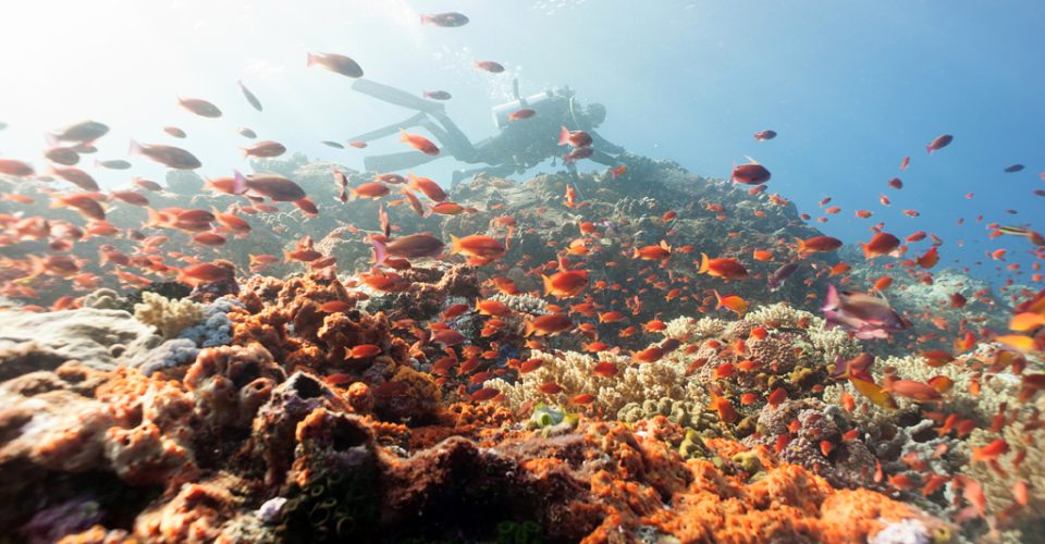 Komodo - May 2019 - 54