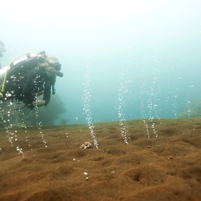 Komodo - May 2019 - 58