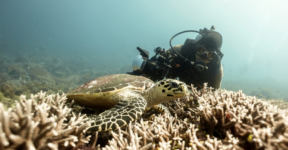 Komodo - May 2019 - 92