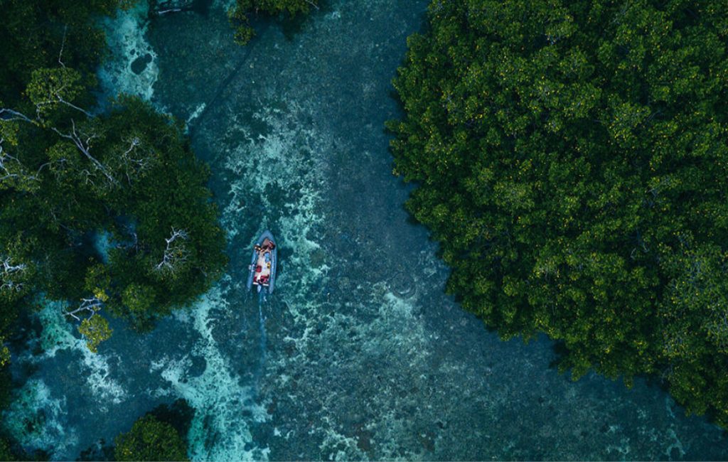 Seven Seas guests can choose4