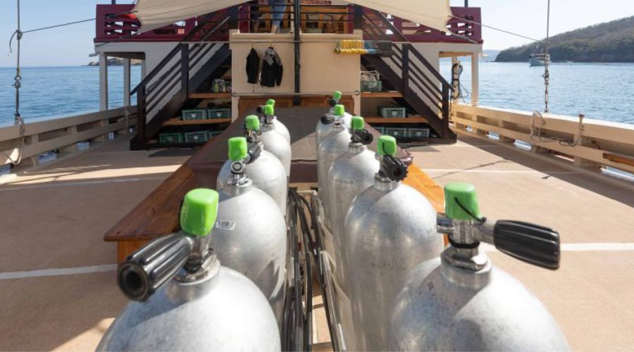 liveaboard diving indonesia