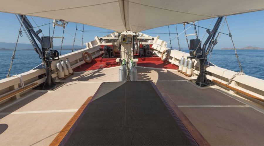 liveaboard diving indonesia