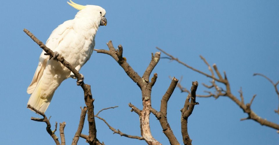 Untitled design (10)