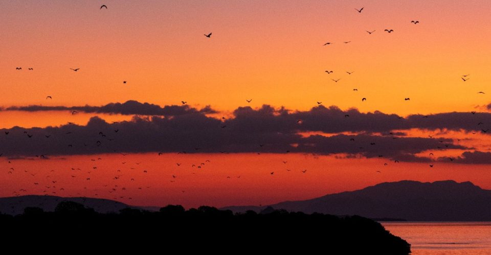 Untitled design (11)