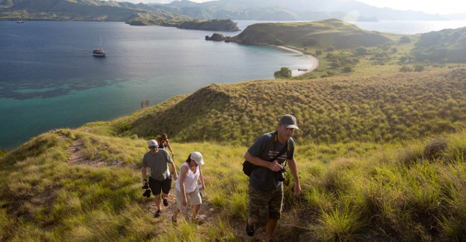 Photo Copyright © Brandon Cole. All rights reserved worldwide.  www.brandoncole.com