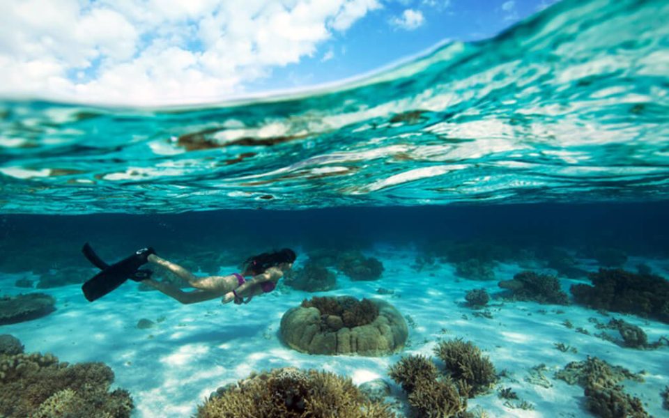 eastofflores subsection (1)