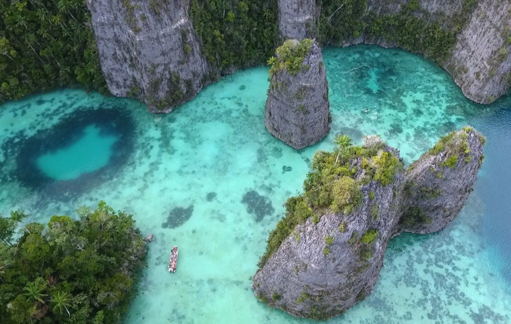 raja Pierre-Yves Cousteau