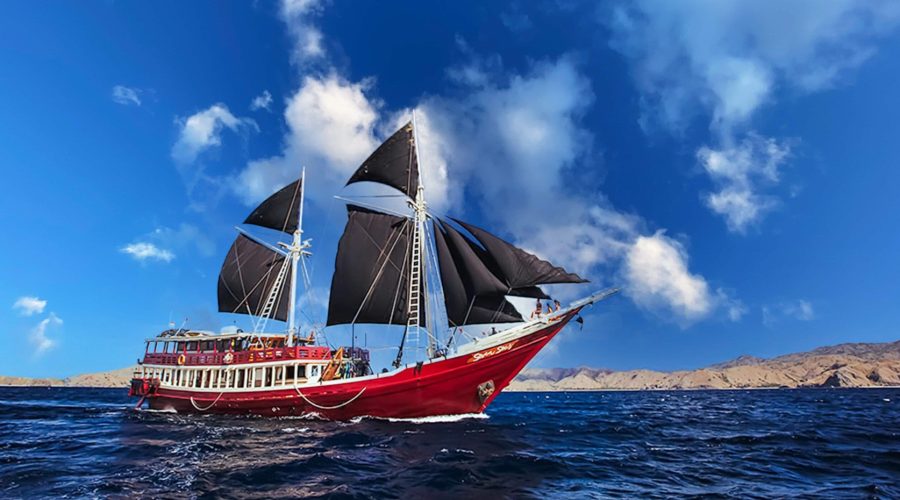 Experience unforgettable liveaboard in Indonesia