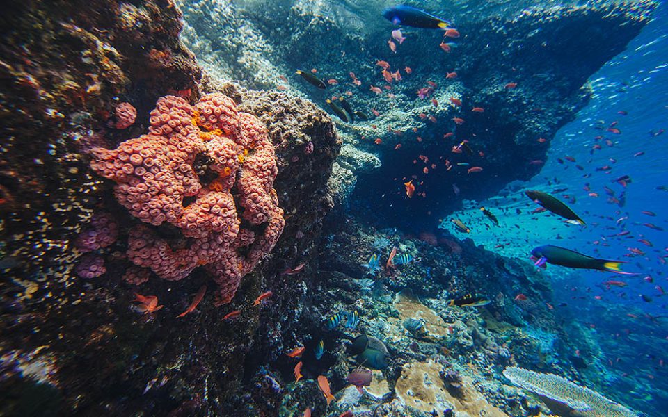 tommy-schultz_com-133