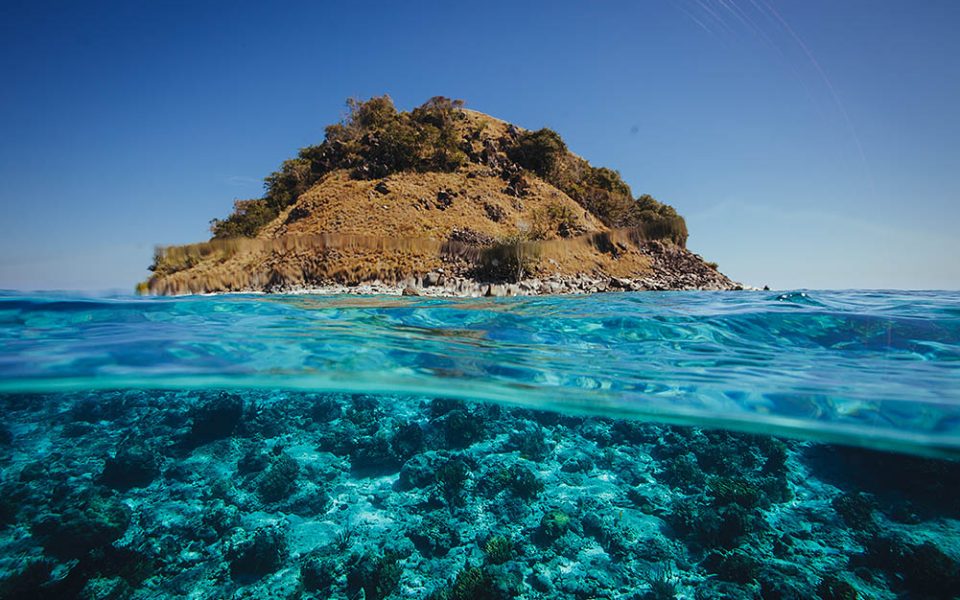 tommy-schultz_com-19