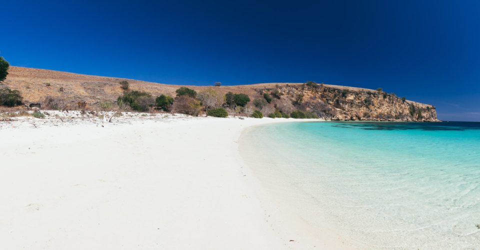 tommy-schultz_com-24