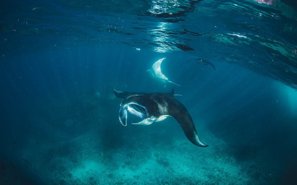 tommy-schultz_com-446