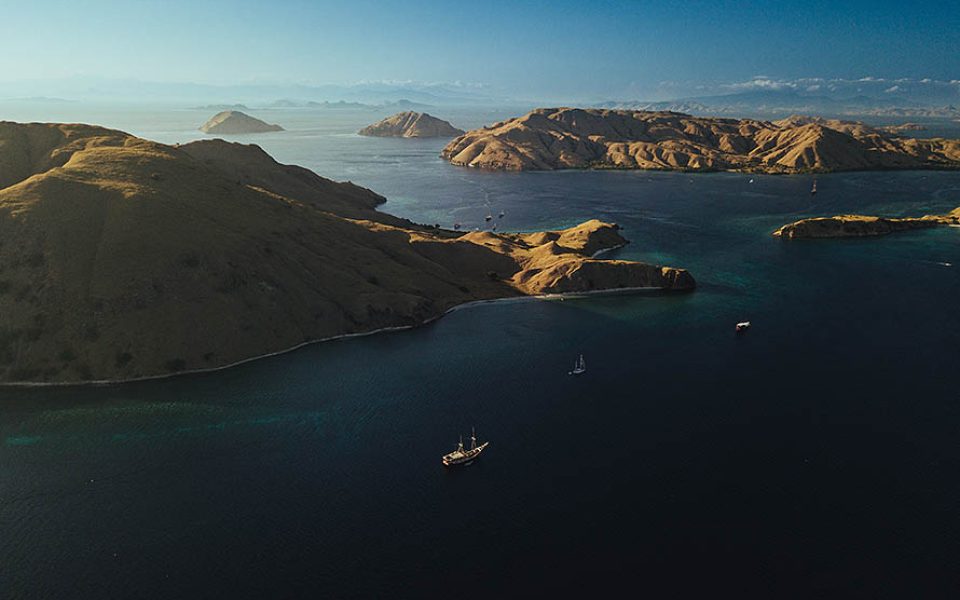 tommy-schultz_com-540