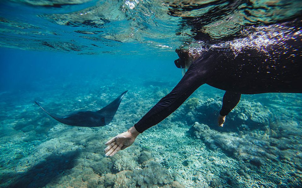 tommy-schultz_com-568