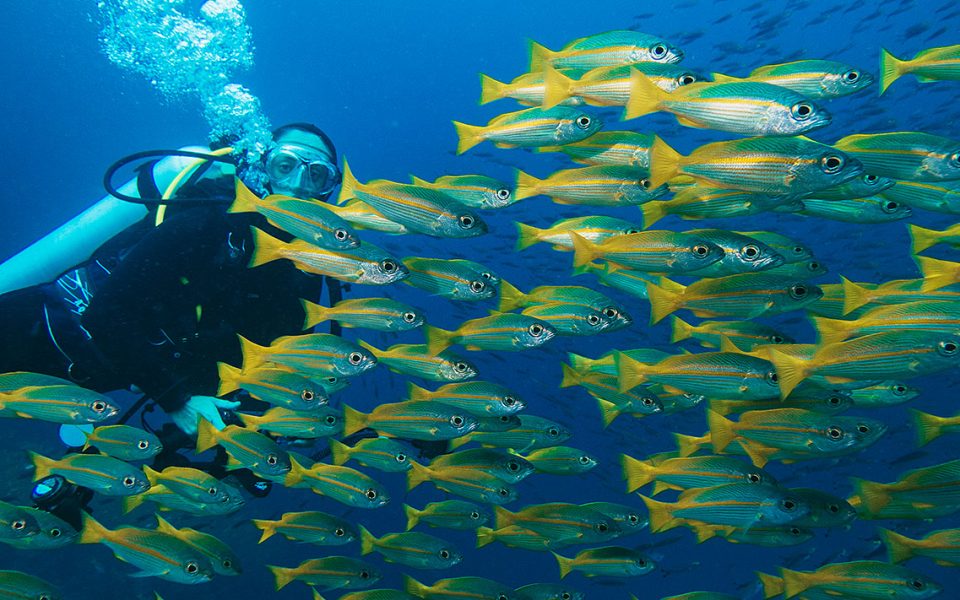 tommy-schultz_com-64