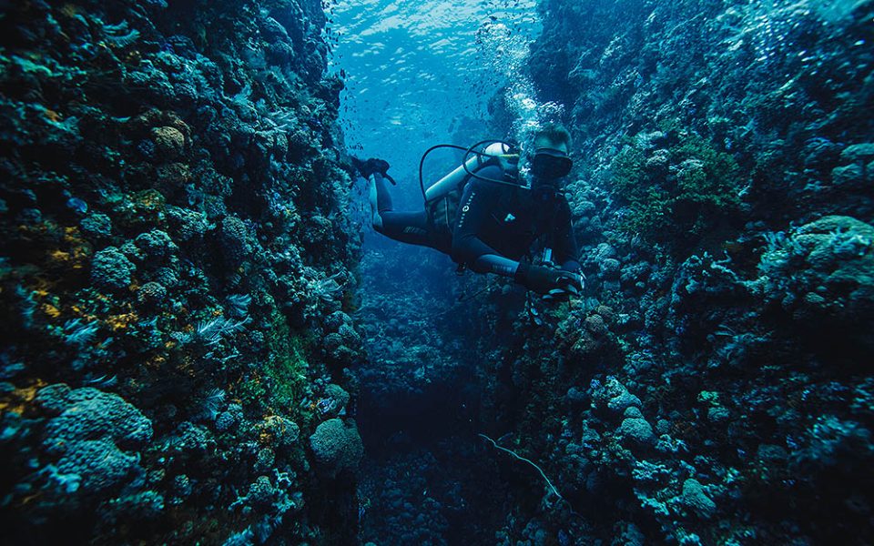 tommy-schultz_com-71