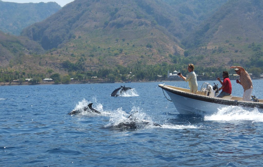 tommy-schultz_com-824