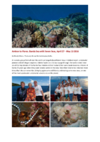 Ambon to Flores – Banda Sea with Seven Seas By Wendy Morris (May 2016)